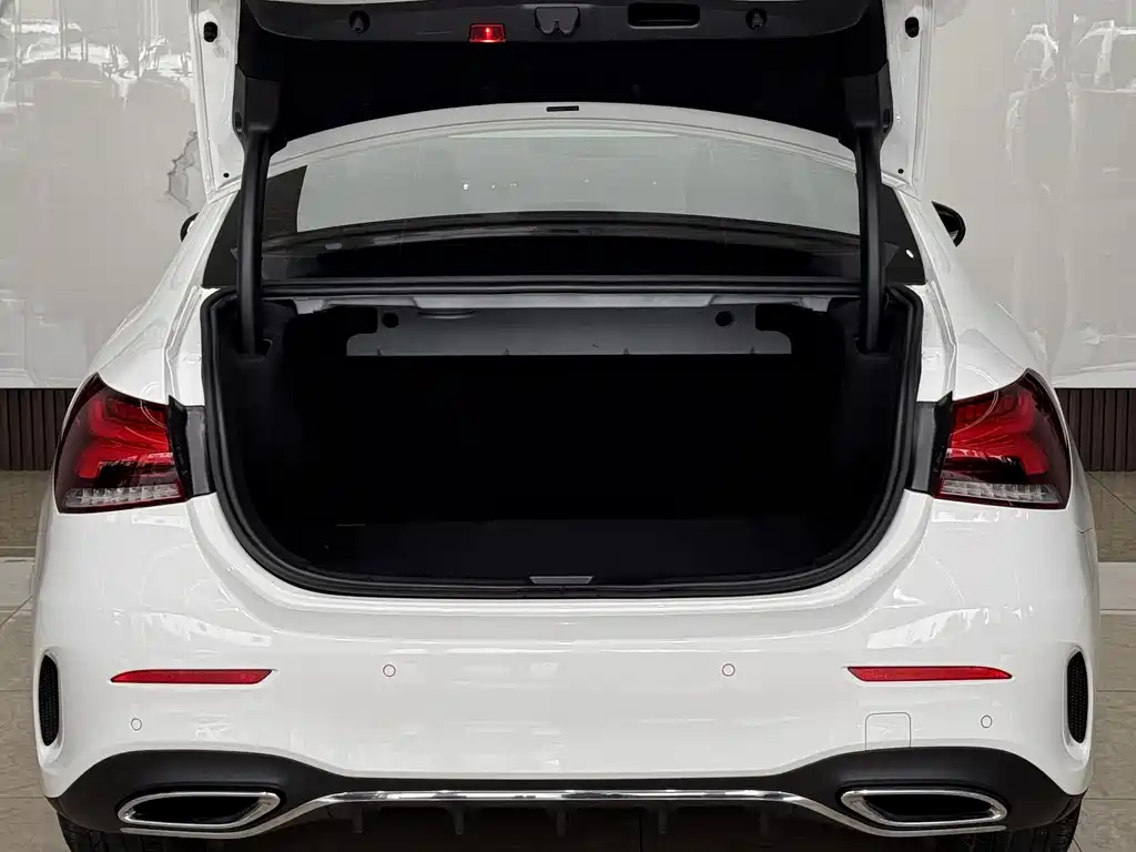 Mercedes-Benz A-Class 2019 — фото 20