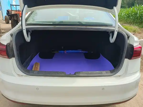 Volkswagen Bora 2019