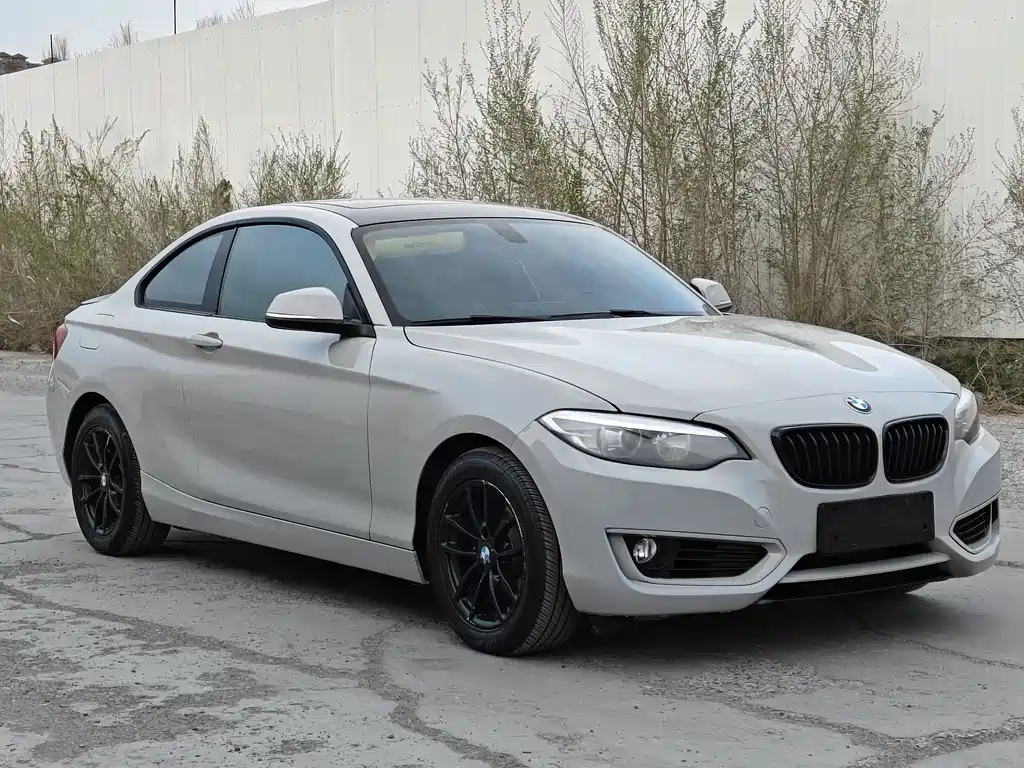 BMW 2 Series 2016