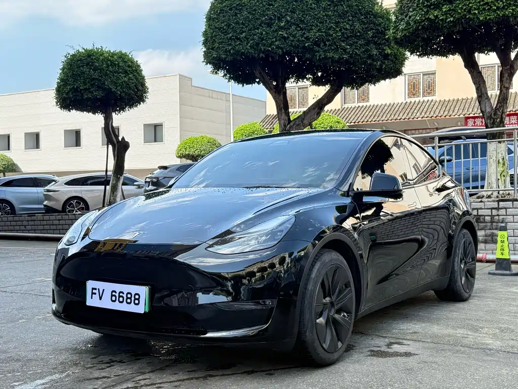Tesla Model Y 2021