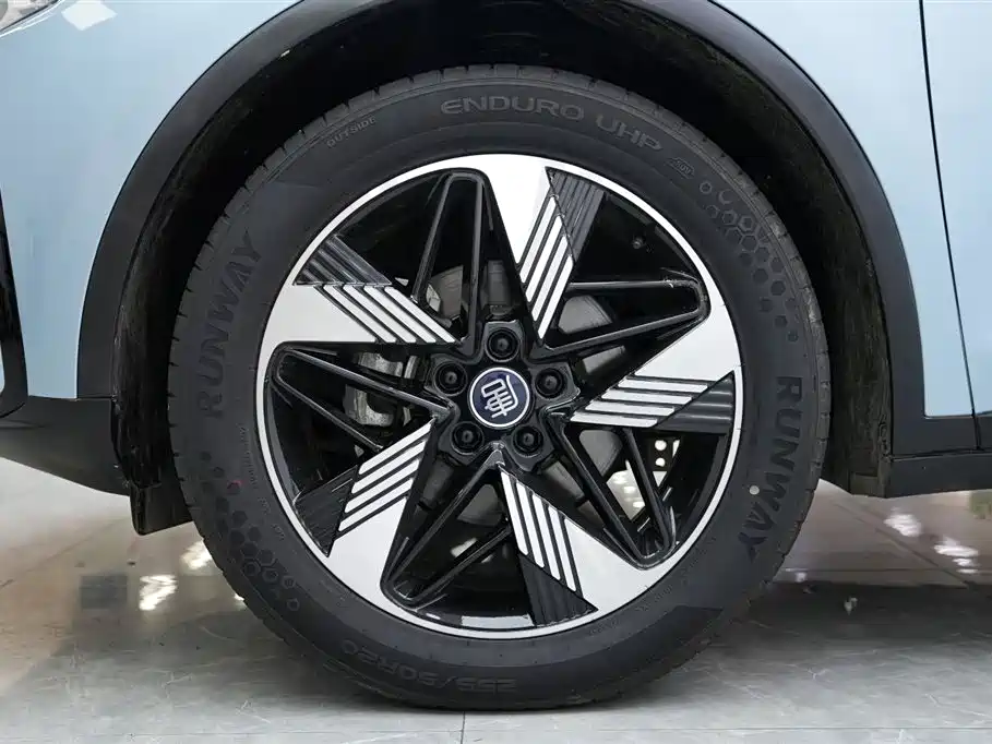 BYD Tang New Energy 2024