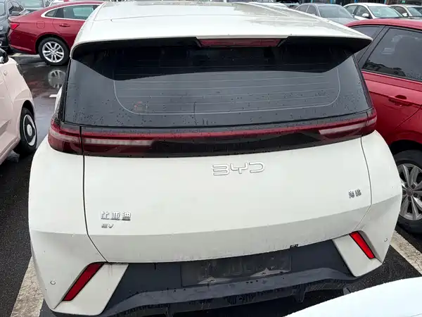 BYD Seagull 2024
