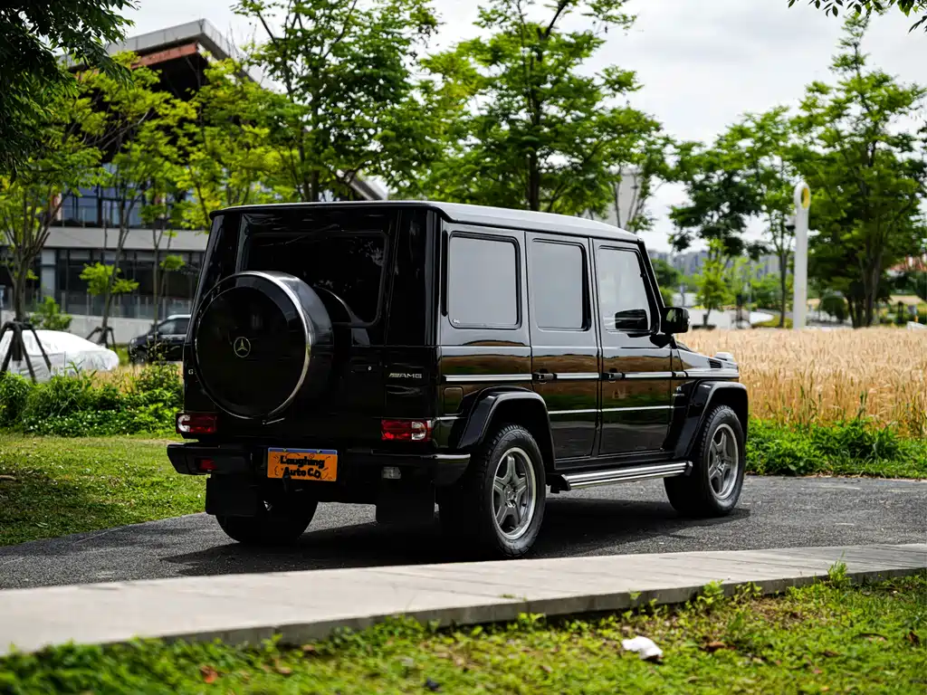 Mercedes-Benz G-Class AMG 2009 — фото 12