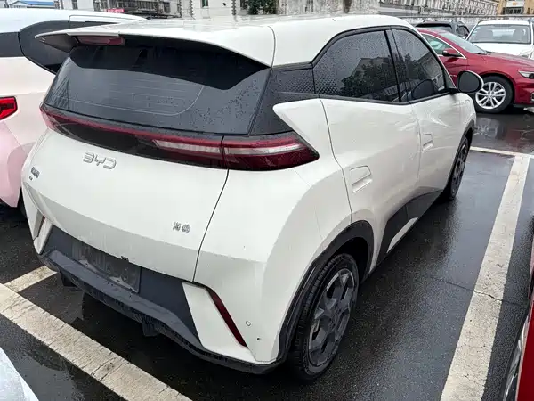 BYD Seagull 2024