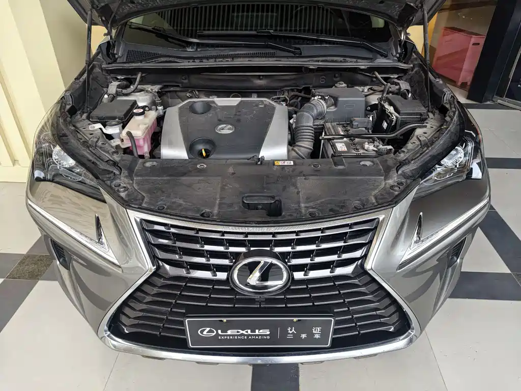 Lexus NX 2021 — фото 17