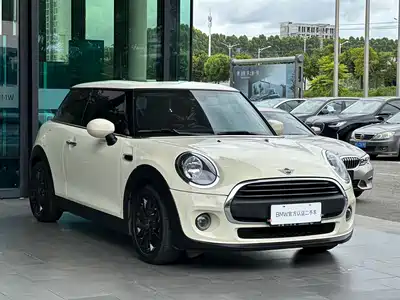 MINI MINI 2020