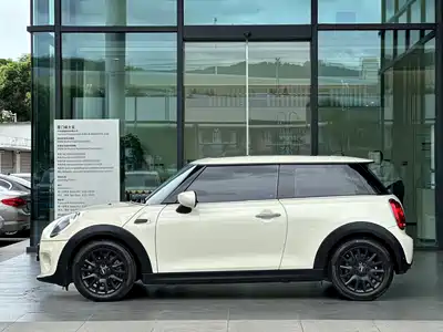 MINI MINI 2020