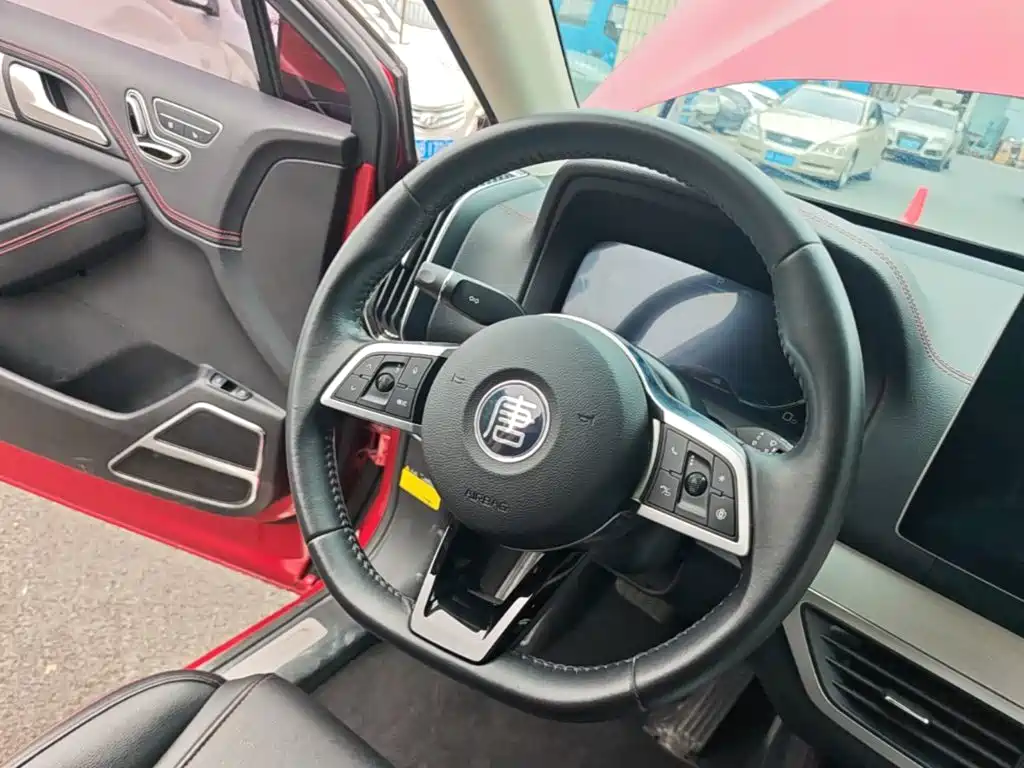 BYD Tang New Energy 2019 — фото 11