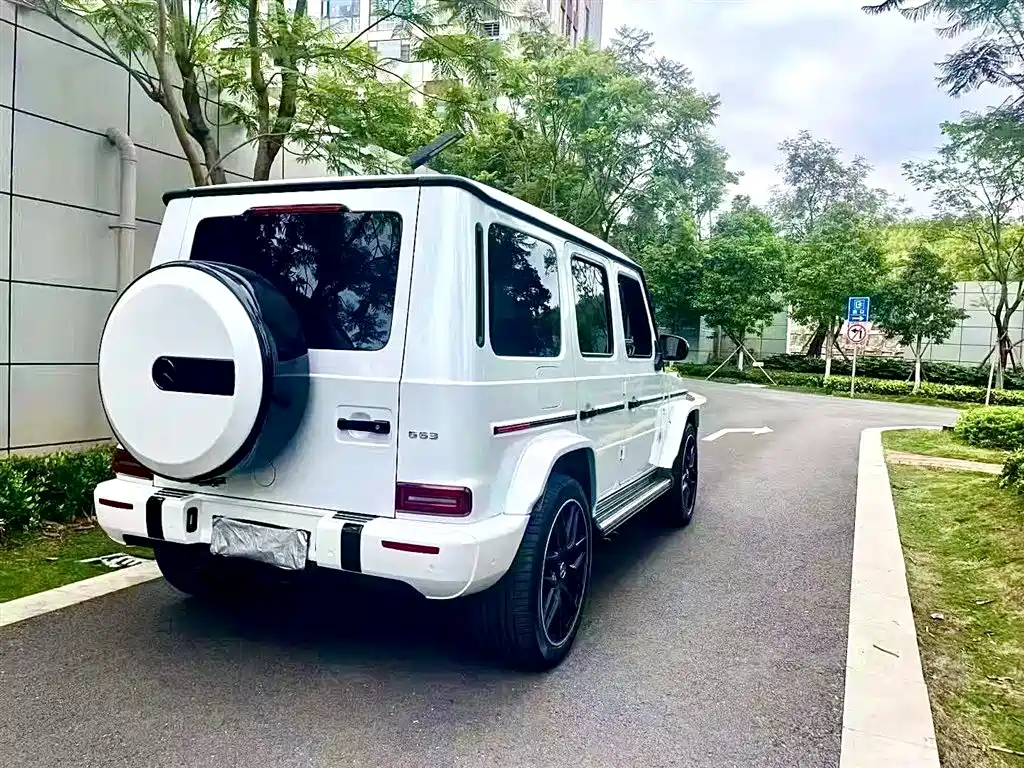 Mercedes-Benz G-Class AMG 2019 — фото 10