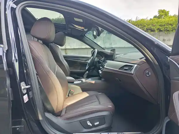 BMW 5 Series New Energy 2022