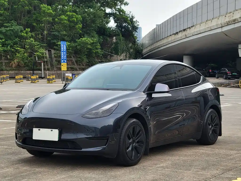 Tesla Model Y 2025 — фото 1