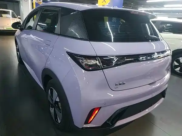 BYD Dolphin 2024