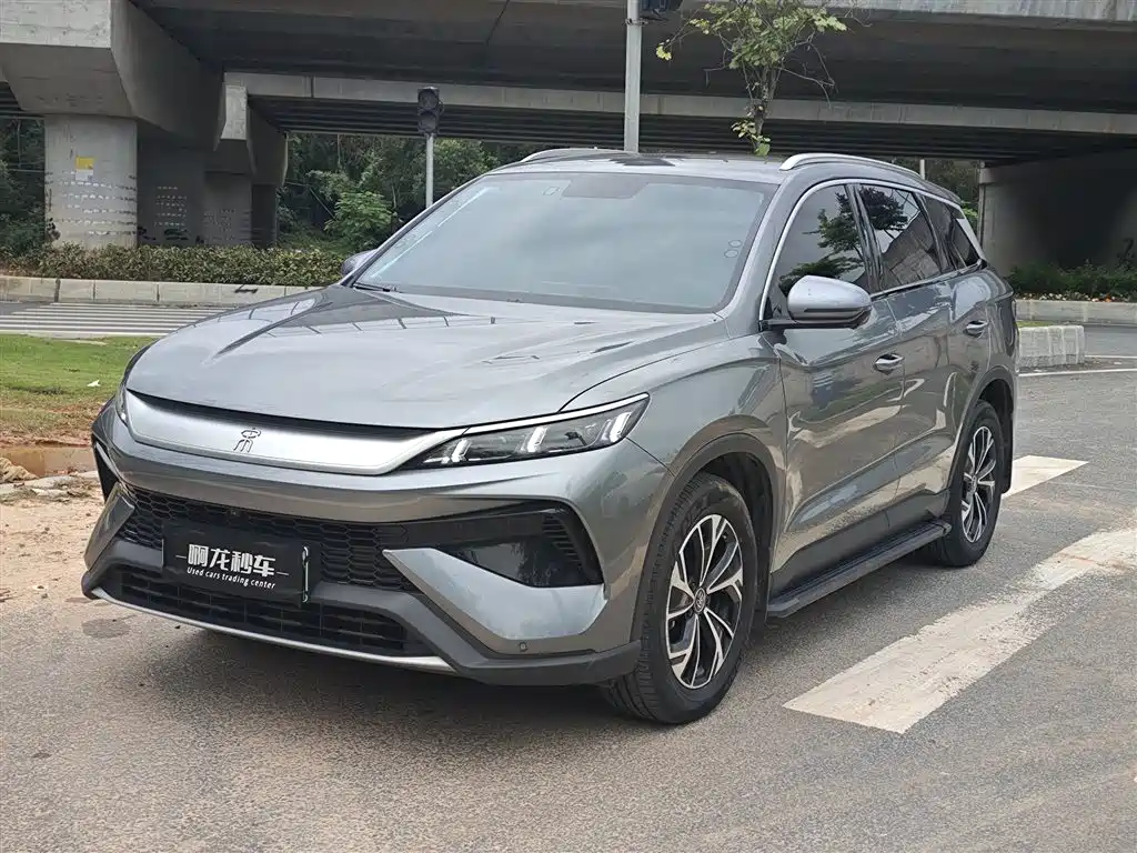 BYD Pro New Energy 2025 — фото 1