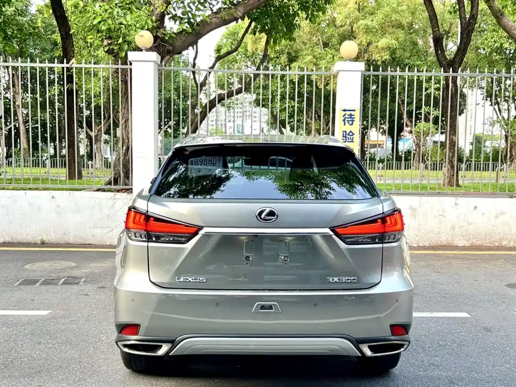 Lexus RX 2020 — фото 8