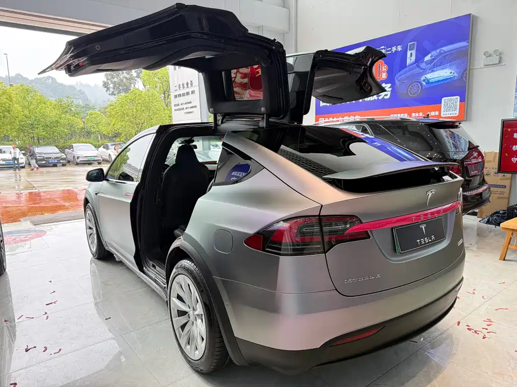 Tesla Model X 2019 — фото 6