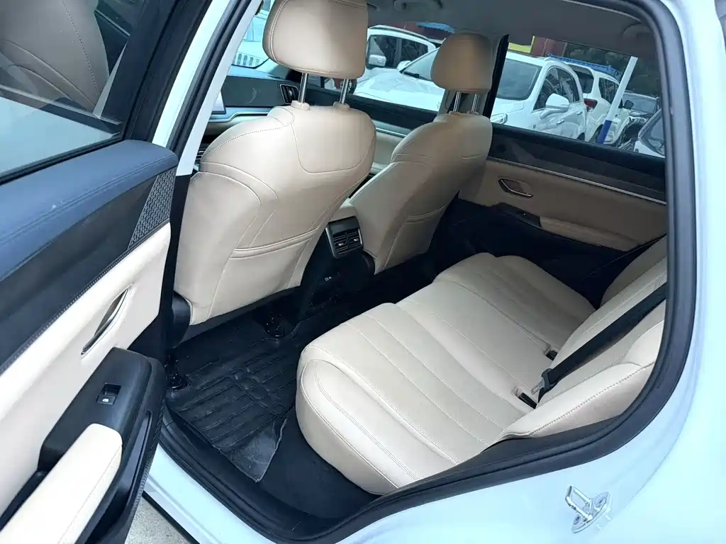 BYD Pro New Energy 2025