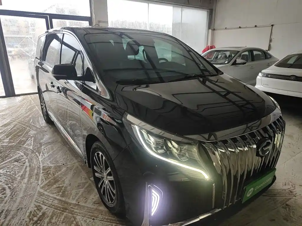 GAC Motor Trumpchi M8 2023 — фото 4