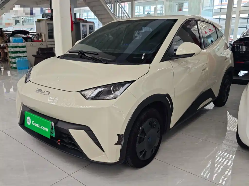 BYD Seagull 2024