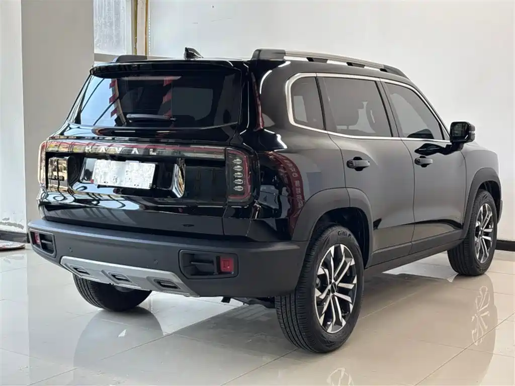Haval Big Dog 2024 — фото 13