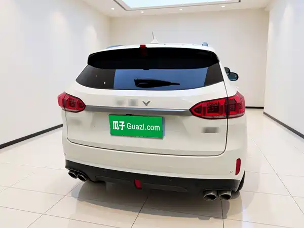 Wey VV6 2020