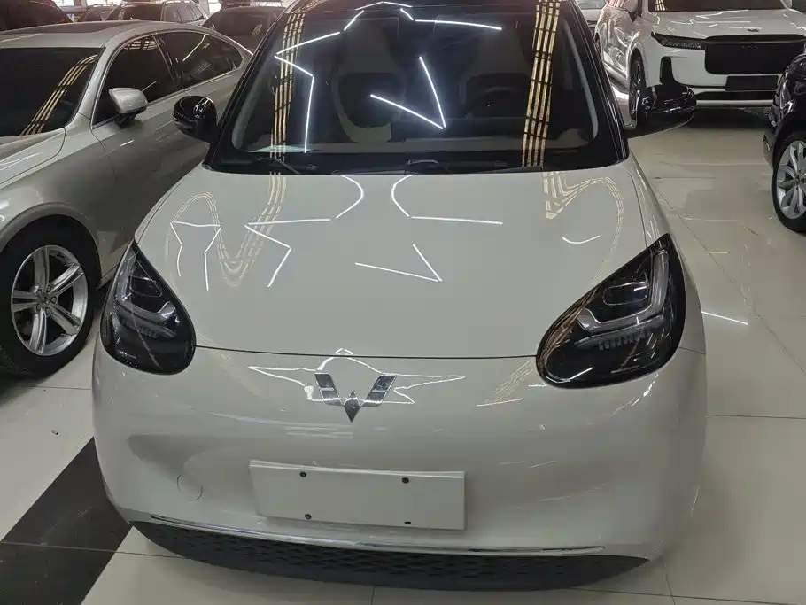 Wuling Bingo 2024