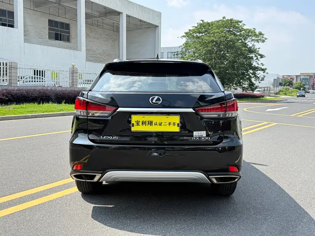 Lexus RX 2022 — фото 9