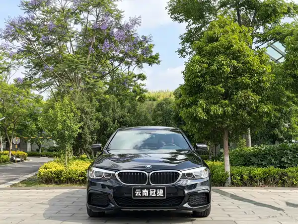 BMW 5 Series 2019