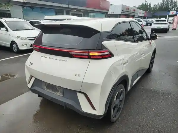 BYD Seagull 2024