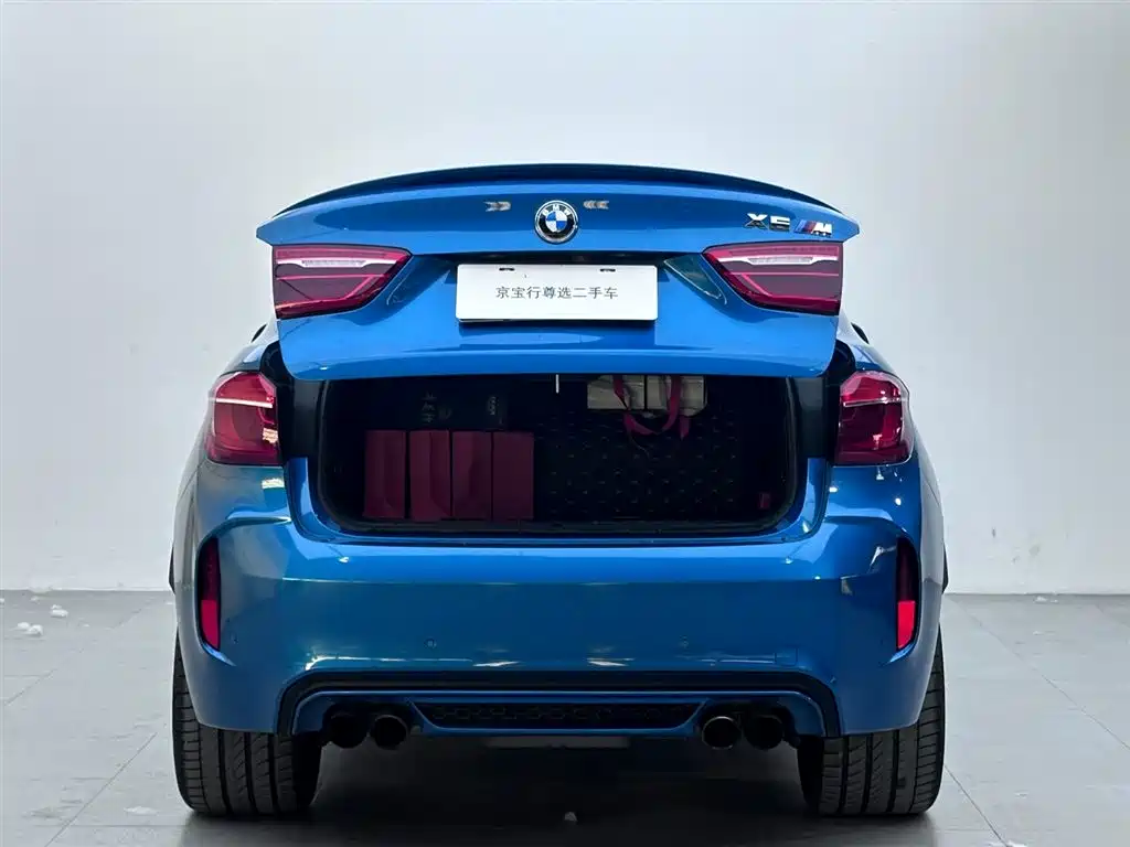BMW X6 M 2017 — фото 6