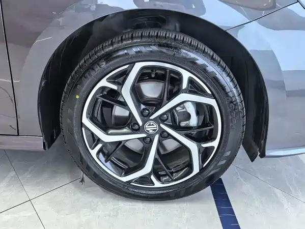 MG5 2024