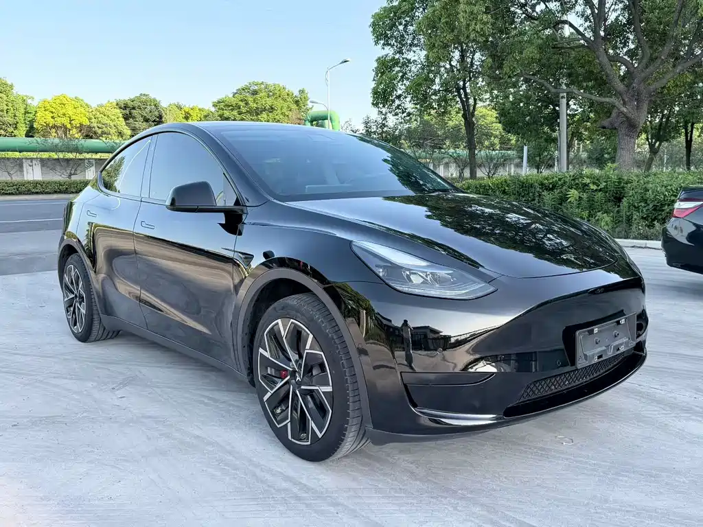 Tesla Model Y 2023 — фото 1