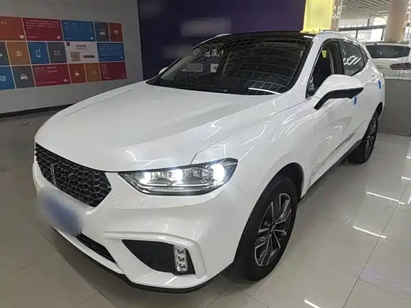 Wey VV5 2020