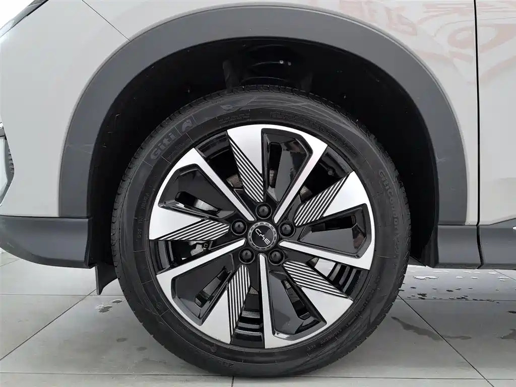BYD PLUS New Energy 2024 — фото 17