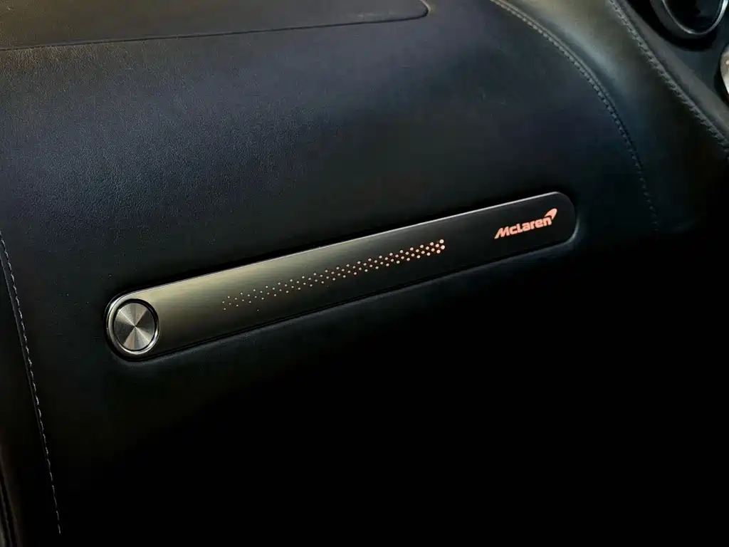 McLaren GT 2021 — фото 16