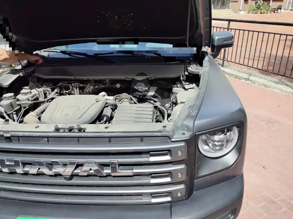 Haval Raptors New Energy 2025 — фото 23