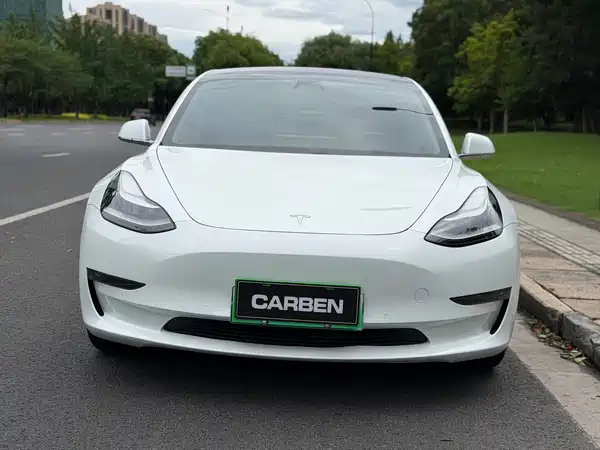 Tesla Model 3 2019