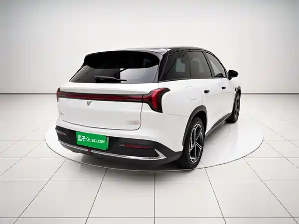 Neta L 2024