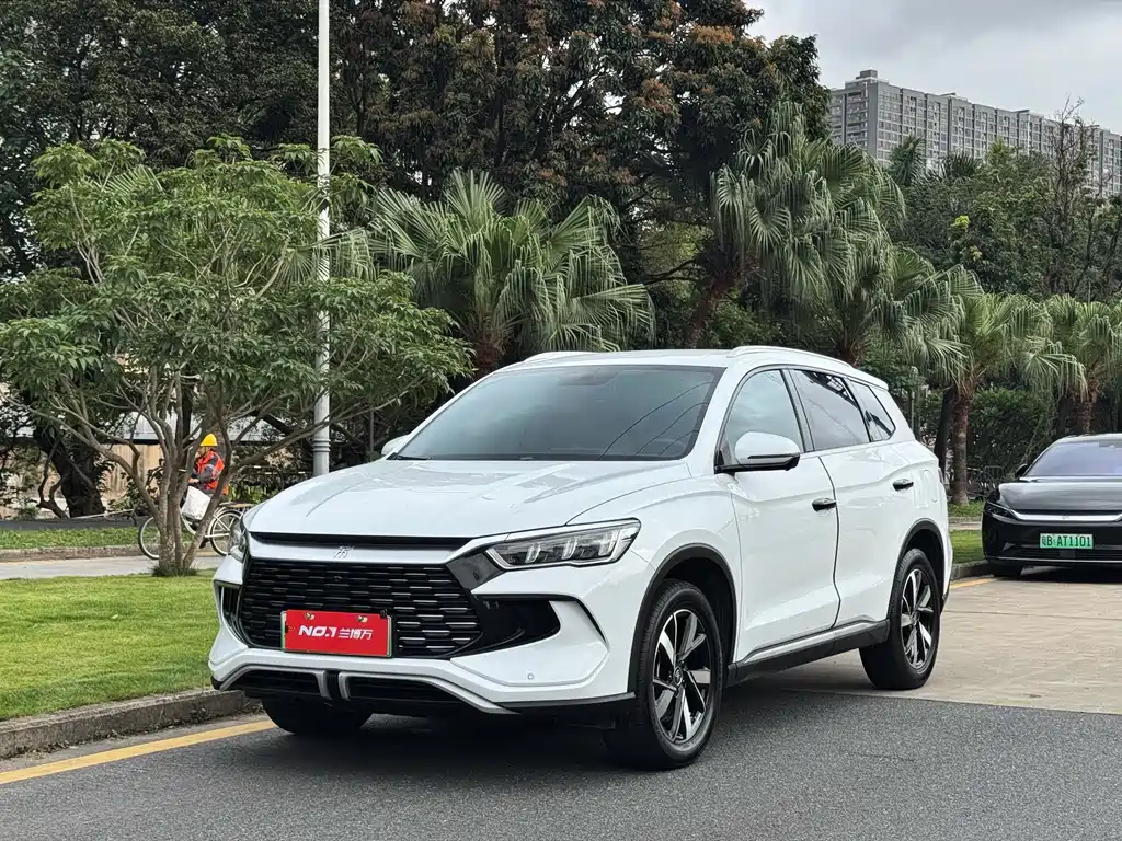 BYD Pro New Energy 2024 — фото 1