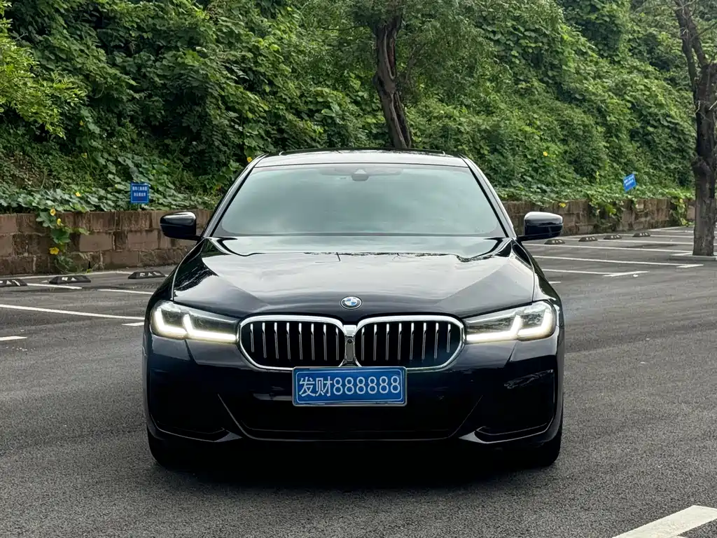 BMW 5 Series 2021