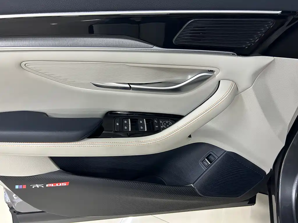 BYD PLUS New Energy 2023 — фото 17