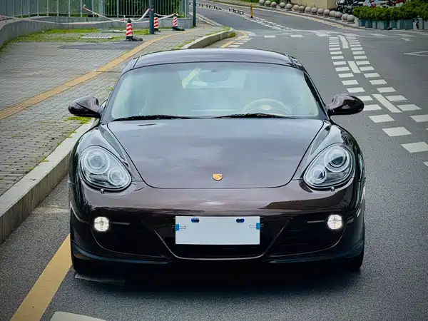 Porsche Cayman 2009