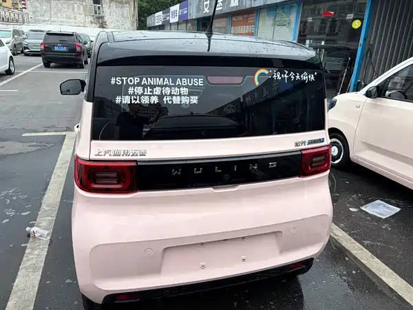 Wuling Hongguang MINIEV 2022