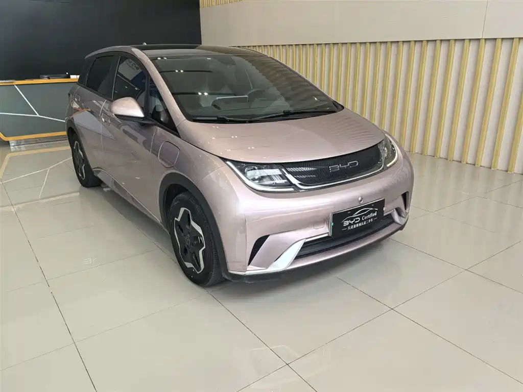 BYD Dolphin 2022