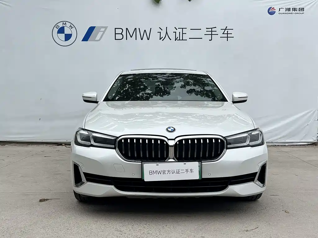 BMW 5 Series New Energy 2021