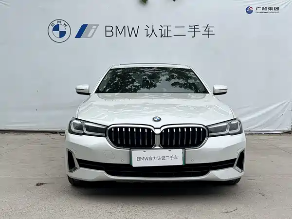 BMW 5 Series New Energy 2021