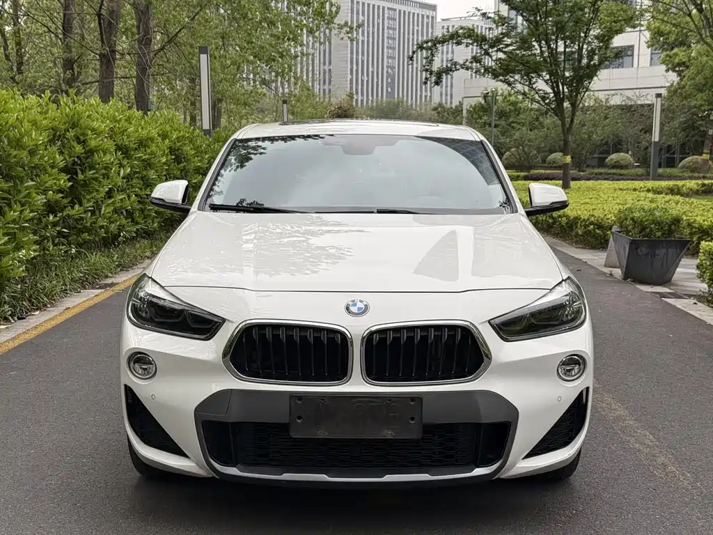 BMW X2 2019 — фото 2
