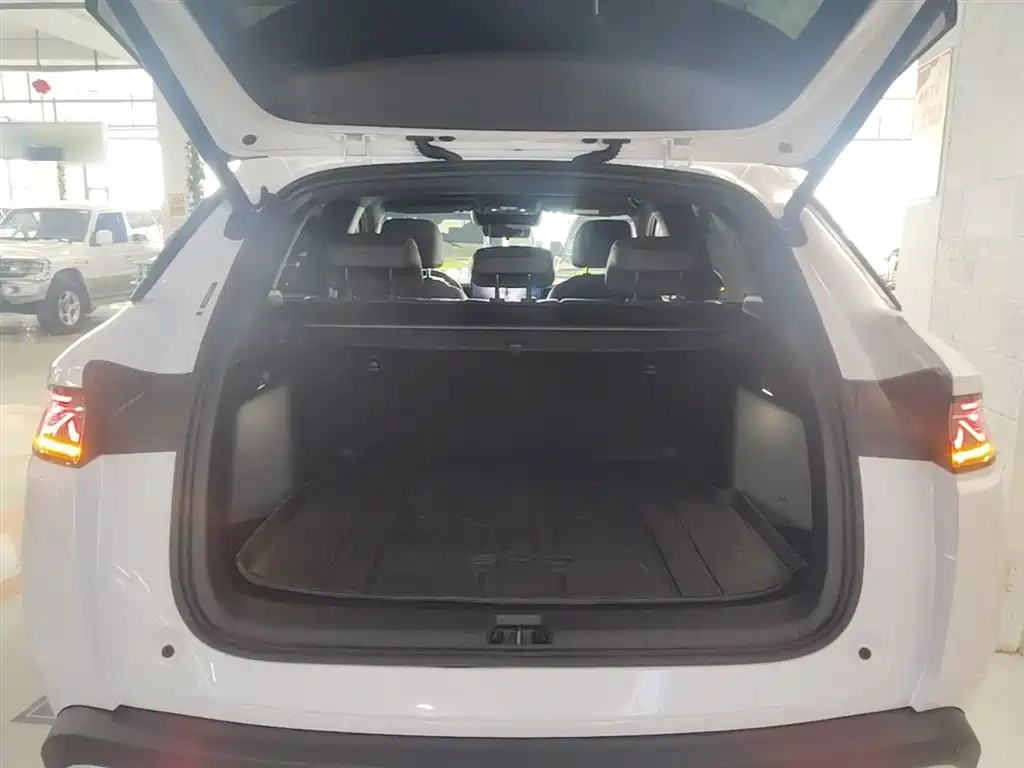 BYD L DM-i 2025 — фото 19