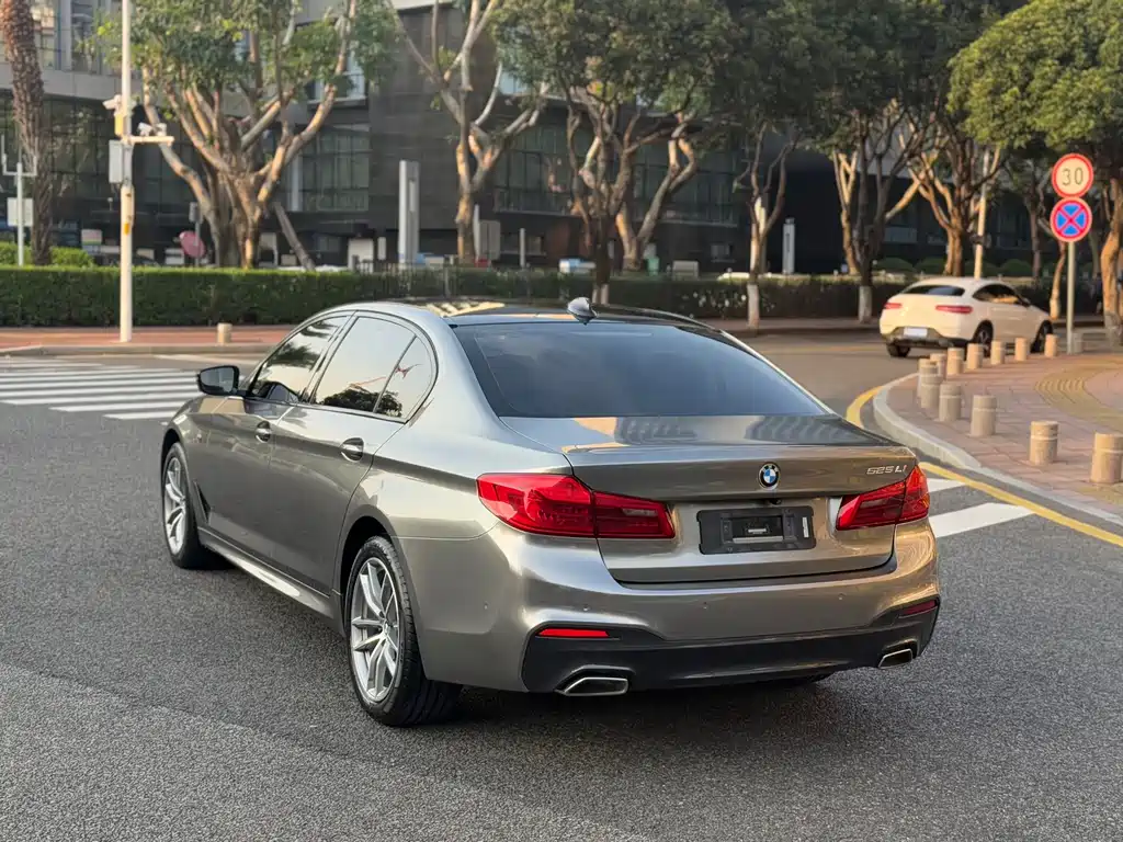 BMW 5 Series 2018 — фото 9