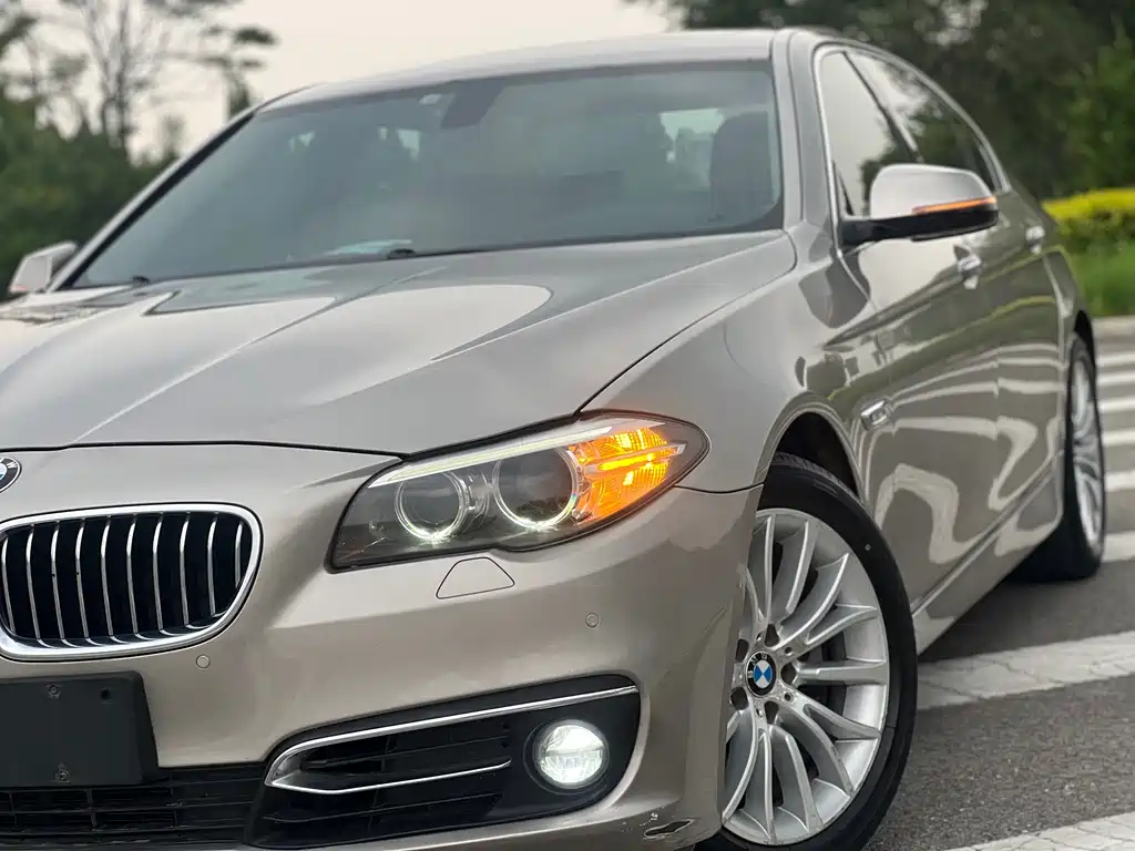 BMW 5 Series 2015 — фото 15