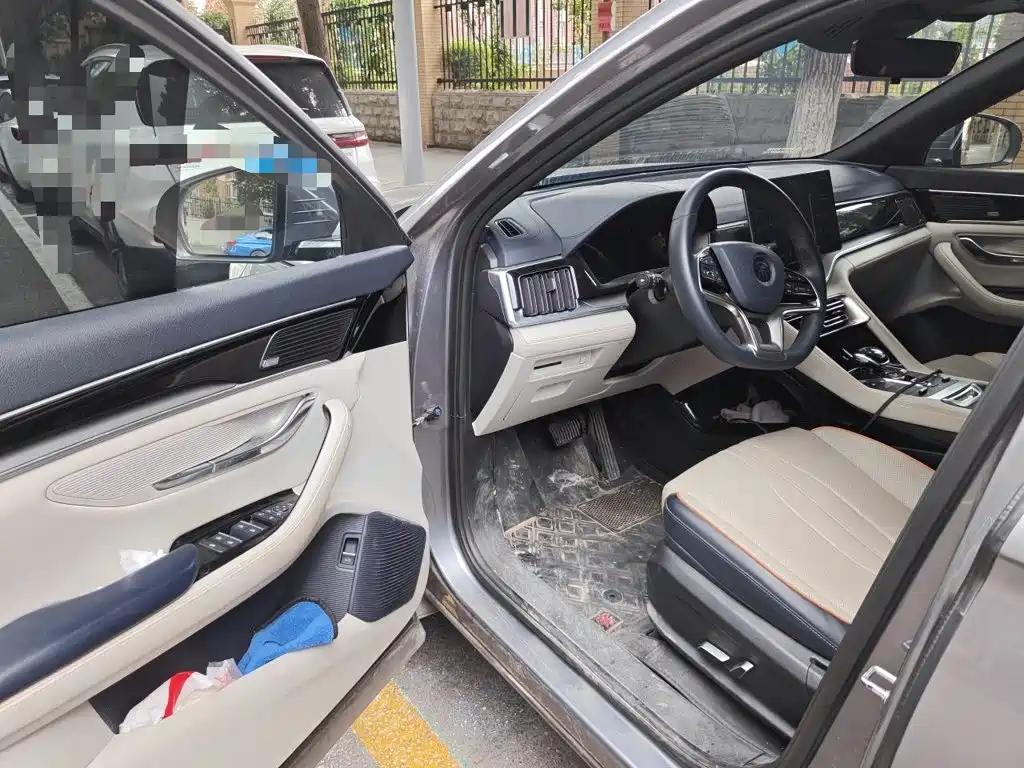 BYD Song PLUS New Energy 2021 — фото 17